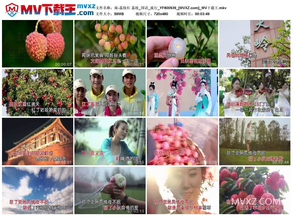雨-荔枝红 荔枝_国语_流行_YF800939